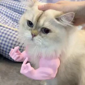 3D Printed Cat Kitty Hulk Arm, Fun Pet Costume Accessory for Playful Cats, Humorous Muscle Design for Small Breeds, Perfect Halloween and Christmas Gift