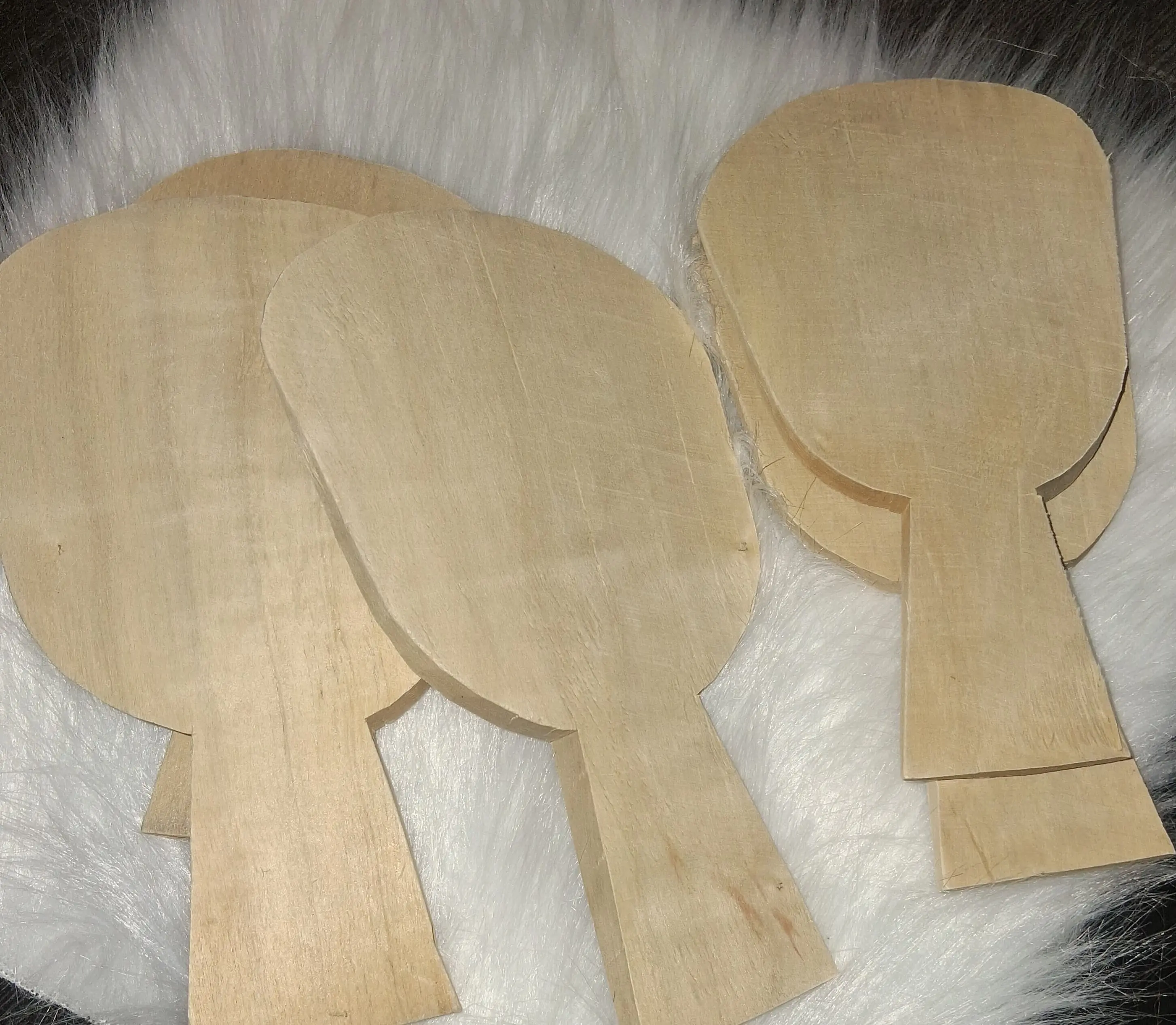African small spatula