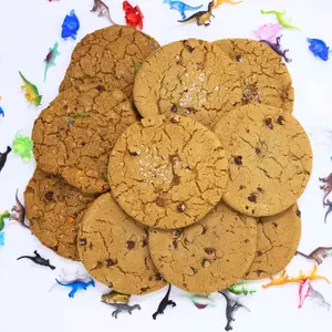10-Pack 1/2 Pound T-Rex Cookies - 3 Sea Salt Caramel Chocolate Chip, 4 Classic Chocolate Chip & 3 Monster Cookies - 8" Oversized, 30 Servings - US Snack