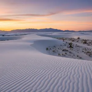 White Sands National Park Canvas 8x10 in