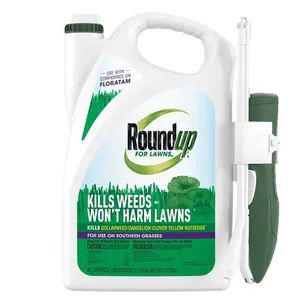 For Lawns 4,1 gal., Ready-To-Use Extended Wand (Southern)