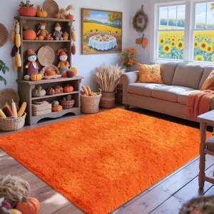 AAFKK Large Shag Rugs For Bed Room Rugs For Livingroom, Fluffy Carpets For Bedroom Orange Rug Halloween Decor Bedroom Decor Ultra Soft Plush Area Rug Non-Slip Bedroom Rug Living Room Rug, Decorative Room Accessories Room Decor Aesthetic