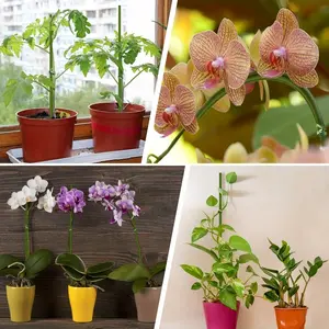 10pcs  flexible and bendable plant support rods - heavy-duty bendable stem support for indoor and outdoor potted plants, flower stems and seedlings, invisible gardening fixing rods to help plants stand tall and stable