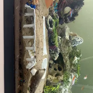 Reptile Hideaway with Cave, 3D Castle Decoration, Pla Material, Suitable for Reptiles, Home Office Desk Decor, Amazing Pet World