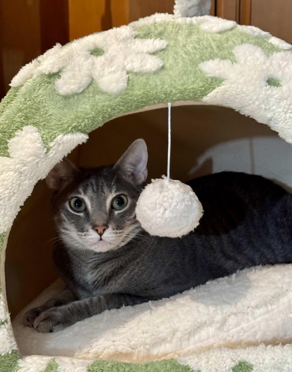 Item: Green, L (17.3x17.3x17.3)