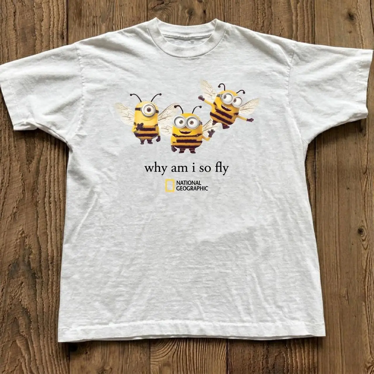 Gildan Men's and Women's T-shirt, Minibee Why I Am So Fly Graphic Tee, Animal Tee, Unisex T-shirt, Gift T-shirt, Y2k Unisex Graphic Tees Gothic Grunge Emo Scene Amity Affliction Style Clothes Menswear Womenswear Streetwear