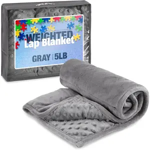5lb Weighted Blanket (Grey) 19x22 Inch– Plush Minky Lap Pad with Sensory Support for Autism or ADHD, Giftable Weighted Blanket with Travel Bag for Ages 4+