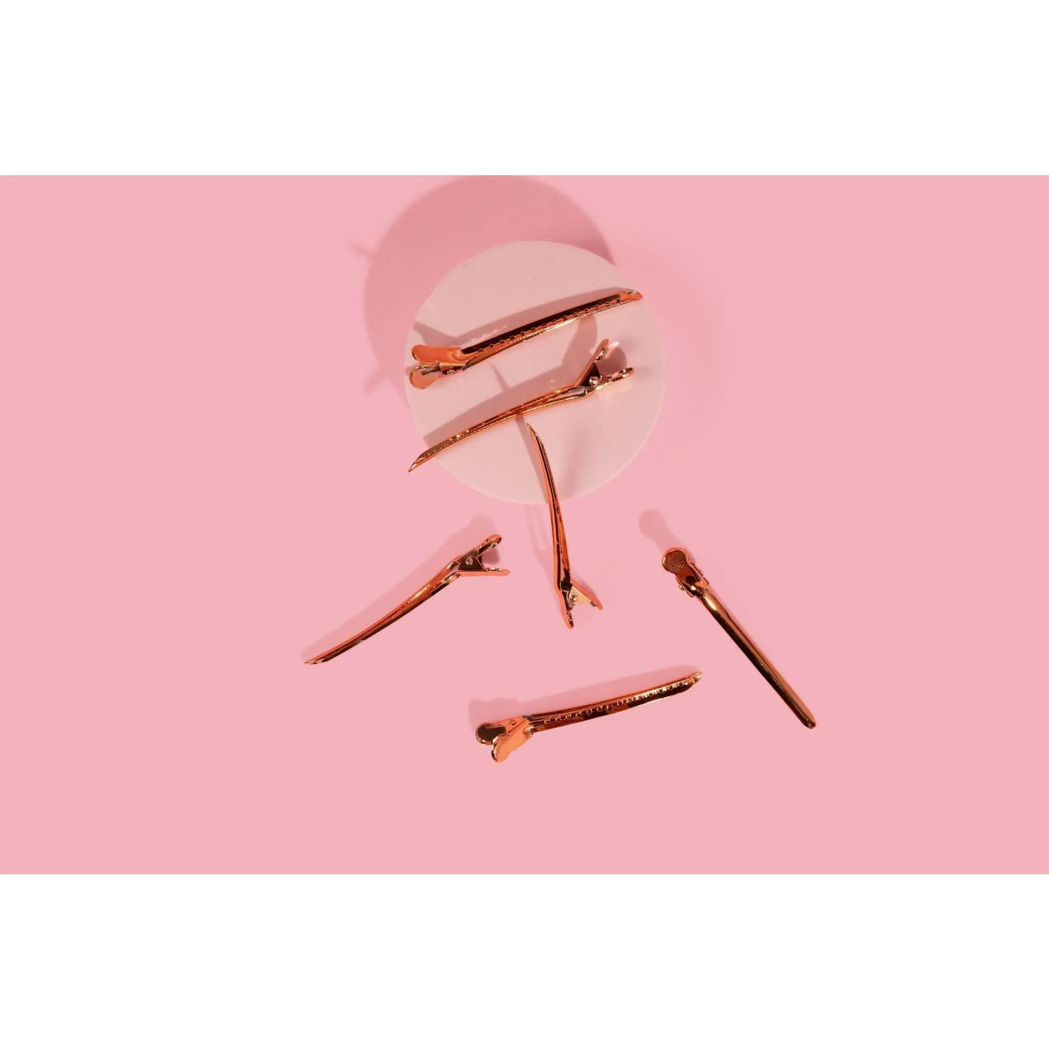Professional Styling Clips (6 pack)