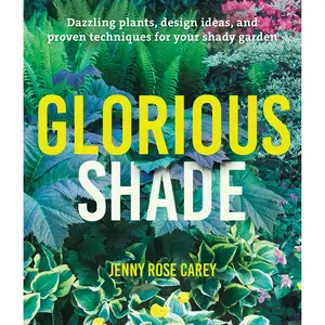 Glorious Shade by Jenny Rose Carey [Paperback Book]