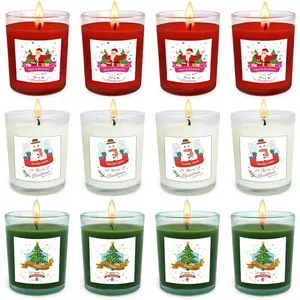 Christmas Scented Glass Votive Candle Set - 12 Pack, Holiday Fragrances:  & Cinnamon, Vanilla Cake, and Cedar - Festive Decor Candles for  Parties Gifts
