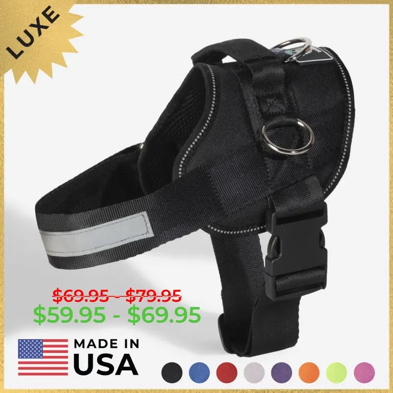 Joyride LUXE Durable Reflective Dog Harness - Made in USA, Premium Mesh Fabric, 3 Leash Attachment Points, Improved Side Rings, EZ Grip Handle, Safety Enhancement, Multi-Size for Chihuahuas to Rottweilers, Size S