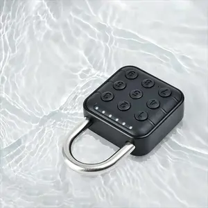 1pc Smart Password Lock Outdoor Electronic Lock, Waterproof, 10 Codes, Suitable for Cabinet Door, Warehouse Door, Hanging Lock Places