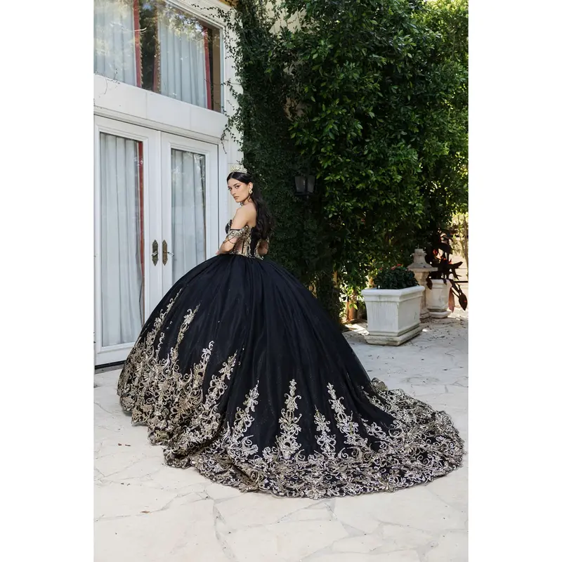 black and gold quinceanera dresses - TikTok Shop black and gold quinceanera dresses - TikTok Shop