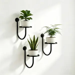 Wall Hanging Floating Shelves for Plants, Candles, Mugs | Modern U-Shaped Black Metal Wall Art Decor | Renters Friendly, Multi Scenes Home Organizer