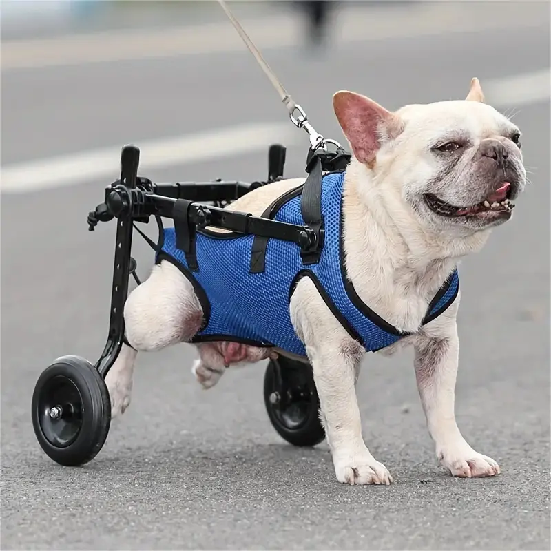 Adjustable Pet Wheelchair, Durable Fit Dog Recovery Walking Aid Car, Pet Wheelchair for Supporting Disabled and Injured Dogs, Pet Commuting Carrier
