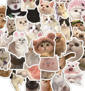 RANDOM 5 STICKER
