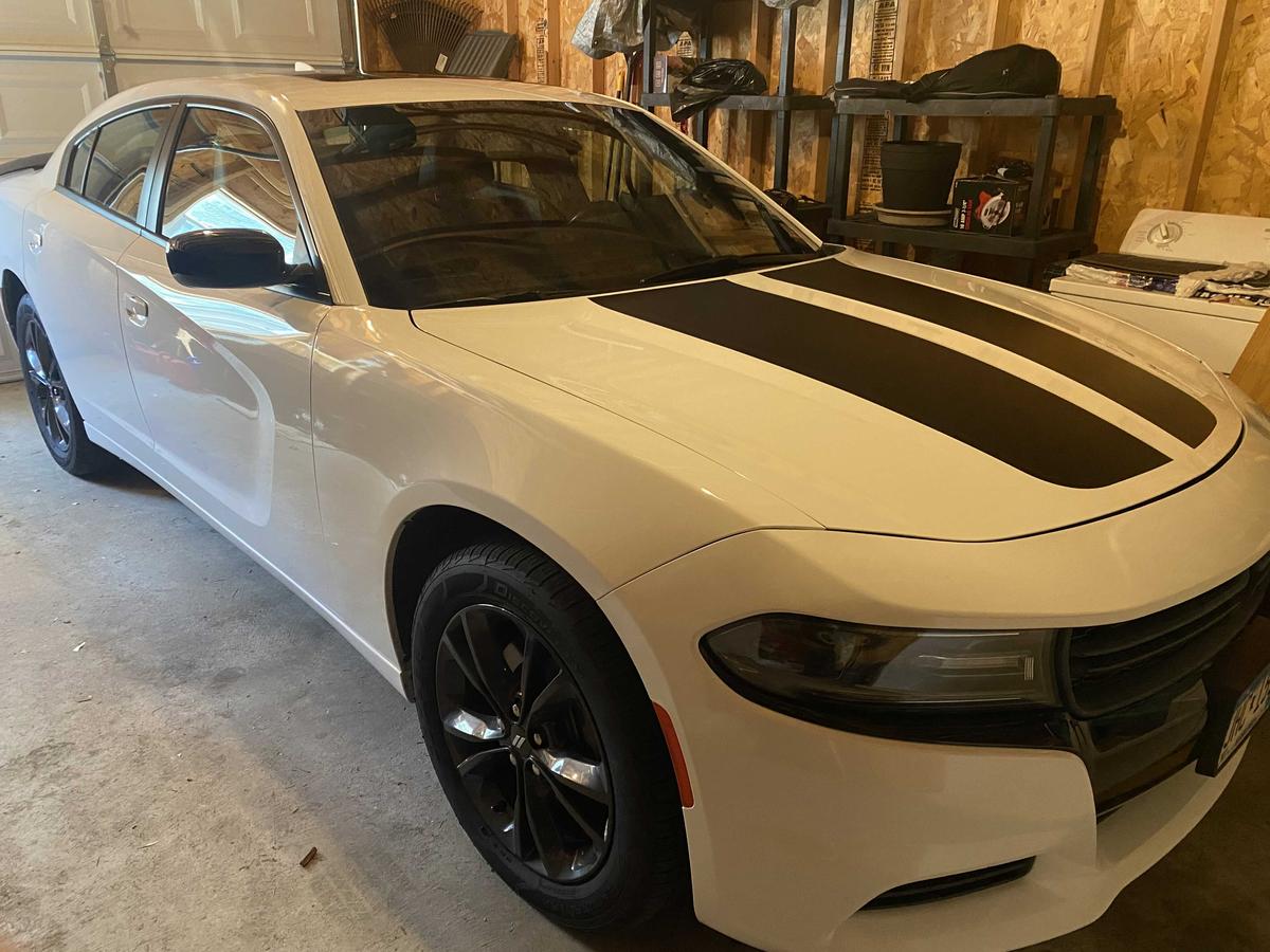 Item: 16oz, Sour Green Apple