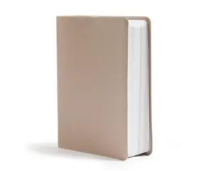 CSB She Reads Truth Bible, Champagne Gold LeatherTouch, Black Letter, Full-Color Design, Wide Margins, Journaling Space, Devotionals, Reading Plans, Single-Column, Easy-to-Read Bible Serif Type Hardcover – Organizer, October 1, 2019