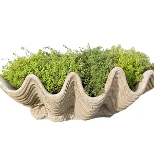 South Seas Planter