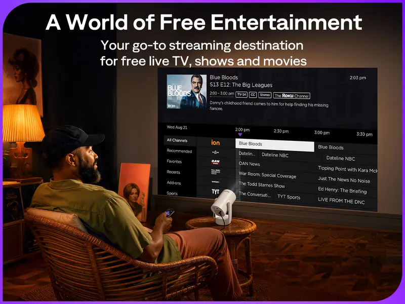 Roku entertainment browsing example