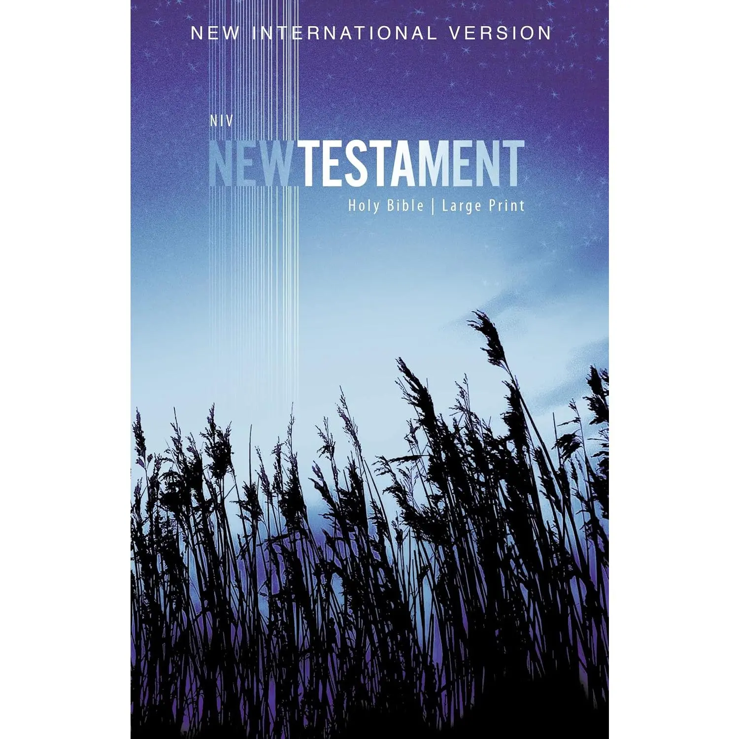 NIV, Outreach New Testament, Large Print, Paperback