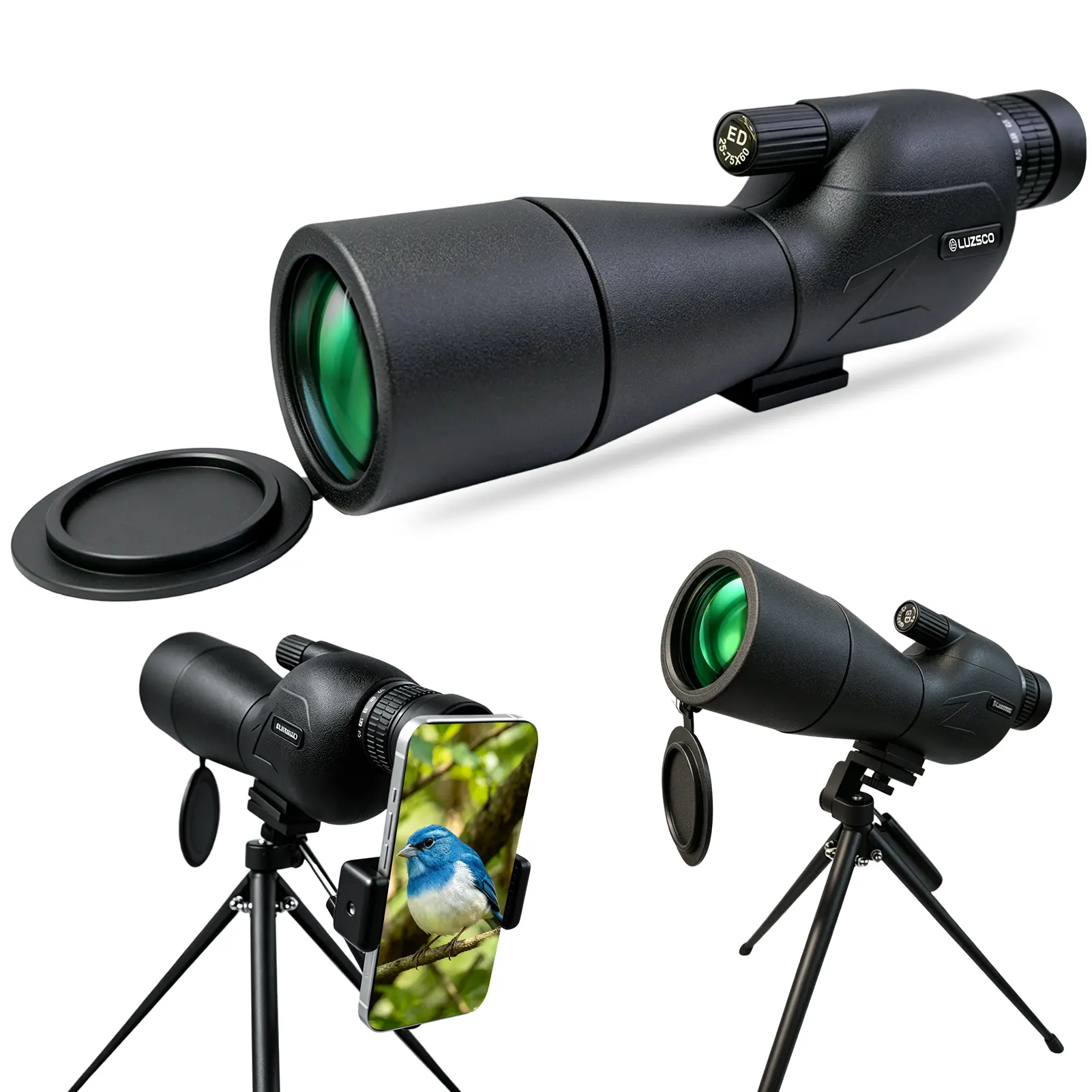 25-75x60 Bird Watching Spotting Scope with Tripod & Phone Adapter, Lightweight Zoom Telescope for Wildlife Viewing & Nature Observation