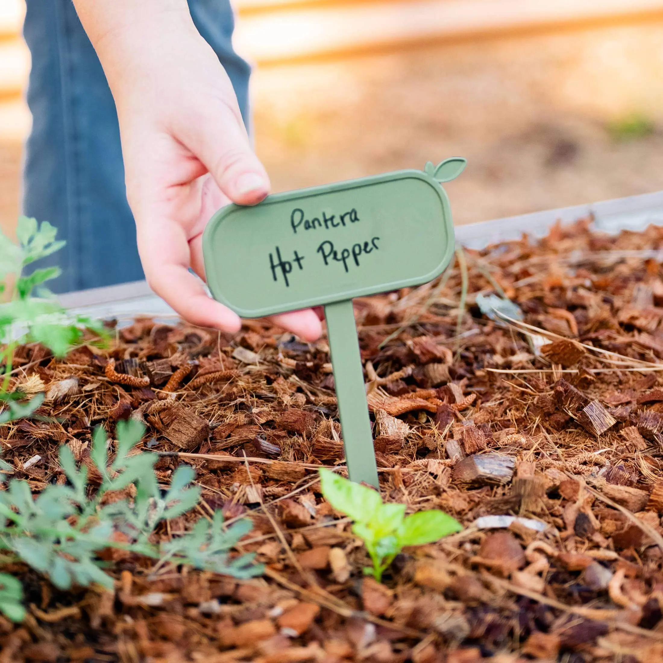 Vego Garden Magnetic Plant Tag - 10 Pack, Smart Labeling for Metal Beds & Soil, No Tools Needed, Garden Accessories, Planter Stake Veggie Shaped Pots Flower Pot