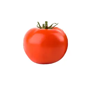 Super Fantastic F1 Tomato Seeds - Tasty Hybrid with High Yields