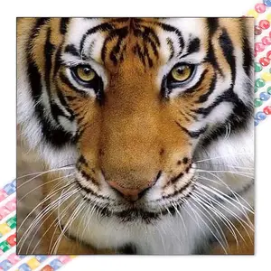 1 DIY diamond painting kit, 5D diamond art set, DIY decoration, tiger face eyes diamond painting kit with full round diamonds, mosaic, diamond art, DIY art home decor, suitable for Christmas.