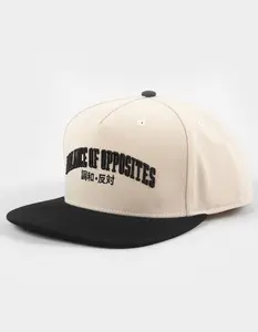 RVCA  Mens Foreign Snapback Hat, Cream Combo