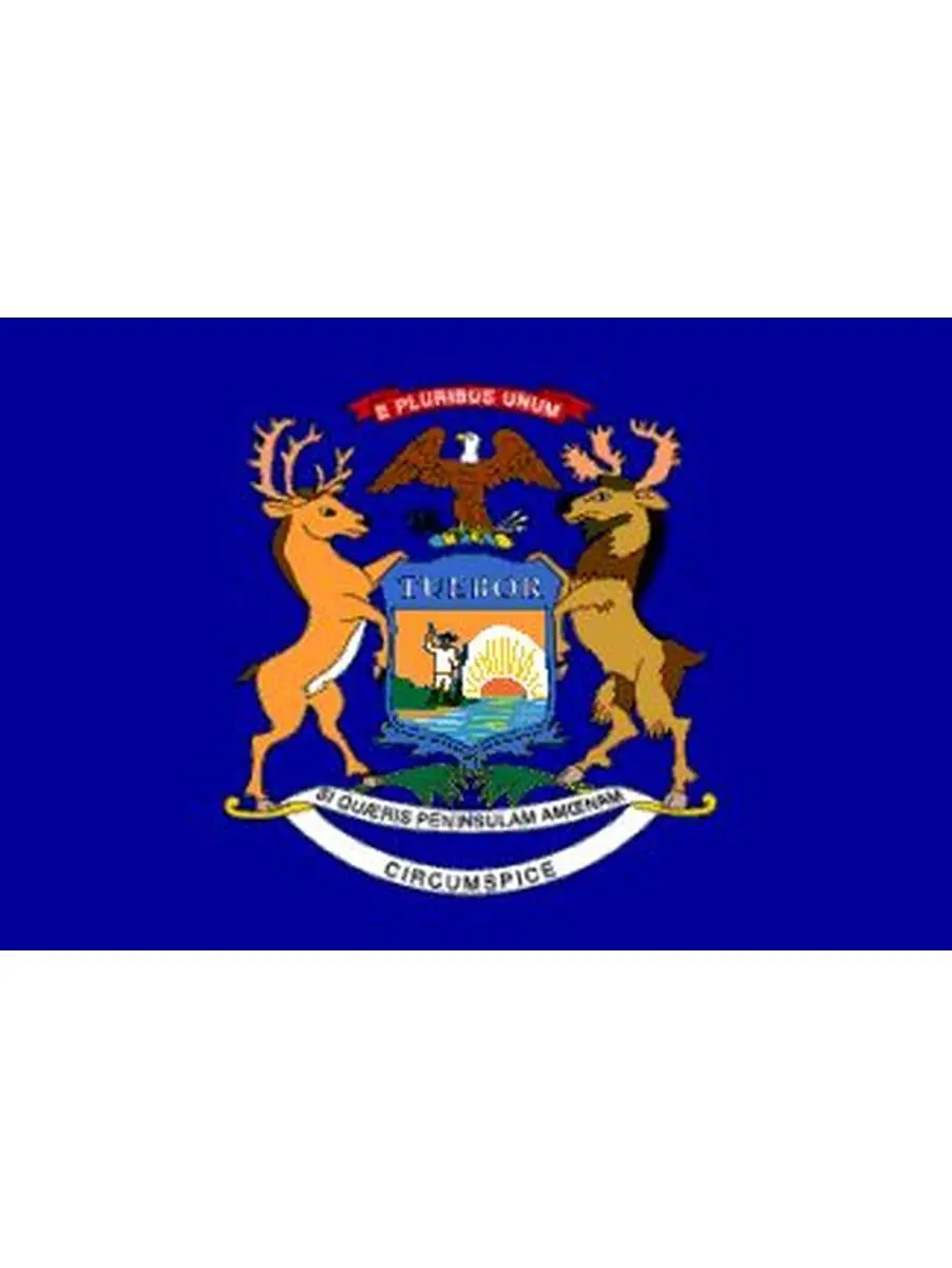 Nyl-Glo Nylon Michigan Flag, 6x10 ft Fast-Drying Festive Banner for Home Decor, Outdoor Decor & Banner Display