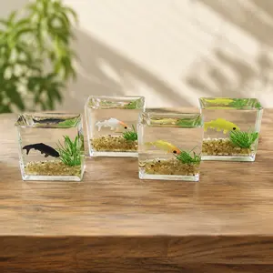 Moss Terrarium DIY Kit Thick Glass Eco Landscape Creative Container Desktop Hydroponic Plant Art Decor Mini Garden Set for Home Office Bedroom Multi-Scenes Moss Planting Tool