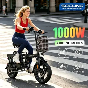 14" Foldable Electric Bike for Adults | 1000W Motor, 30MPH Speed, 40 Miles Range, Dual Seat, Portable Urban Commuter E-Bicycle