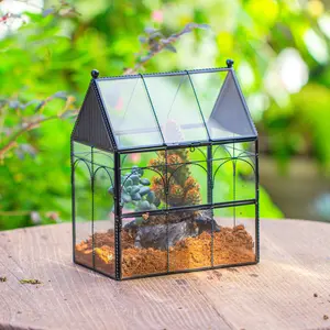 NCYP Glass Enclosure with Vent Holes for Insect, Twisted Wire, Jumping Spiders, Snails - 7.5" x 4.9" x 9" Small Closed Front Opening Door Terrarium(No Plants)
