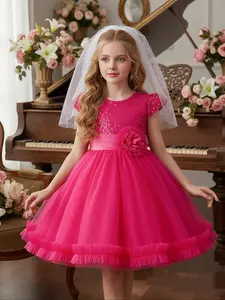 Girl's Floral Jacquard Mesh Overlay Tulle Dress, Elegant Fashion Short Sleeve Round Neck Dress for Party Show Wear, Birthday Dress, Kids Clothes for All Seasons