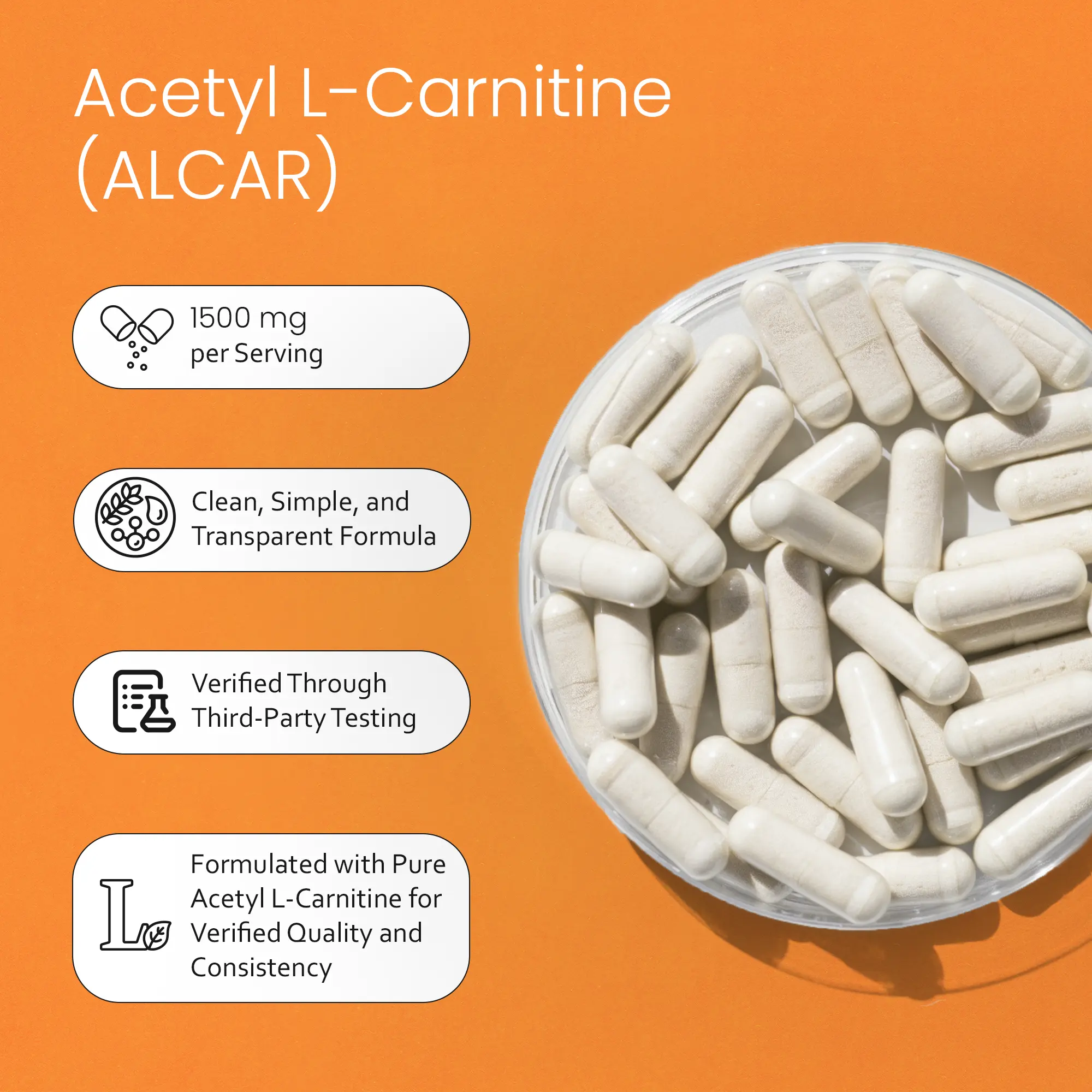 vitamin shoppe acetyl l carnitine Amazon.com: The Vitamin Shoppe L-Carnitine Liquid 3000mg - Fat Metabolism &  Energy Boost | Amino Acid Supplement | 16 oz Raspberry main image 0