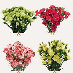 Mini Carnation Assorted Summer 150 Stems Select Spray Carnation 60cm 15 Bunches of 10 Stems for Home Decor Outdoor Parties or Gifts