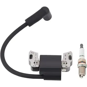 Hipa 593872 Ignition Coil for BS 593381 799582 Armature Magneto