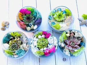 Mini Terrarium Kit, Succulent Gift Box, Friend Gift Box, Adult Craft Kit, Birthday Gift For Friend, Succulent Gift, Send A Gift