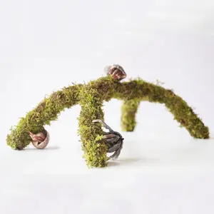 12 Inch Hermit Crab Climbing Toys Ideal Hermit Crab Habitat Tank Accessories Adjustable Hermit Crab Supplies