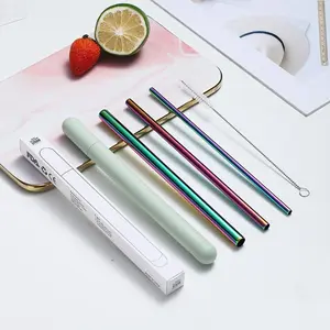 Reusable Straws Travel Set - Portable Two 304 Stainless Steel Straws with Pipe Cleaner and Bamboo Case - Eco Friendly