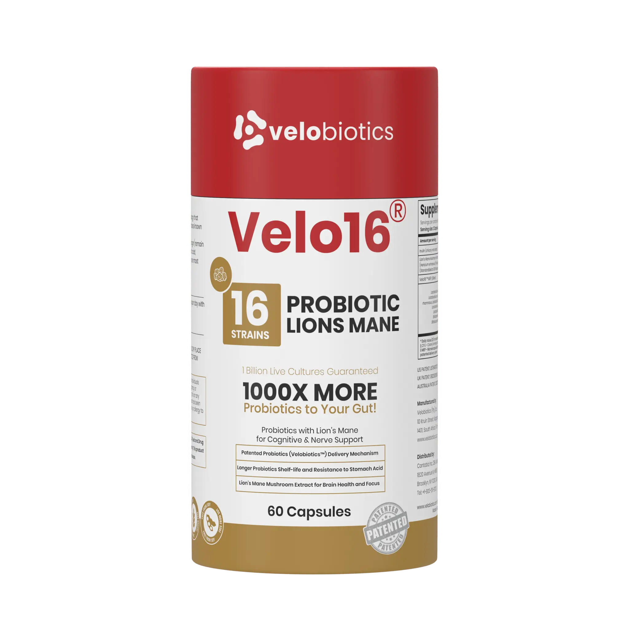 Velo16 Microencapsulated Probiotic + Lion's Mane | Brain Focus, Cognitive Support & Gut Health, 16 Strains, 1B CFU, 60 Caps