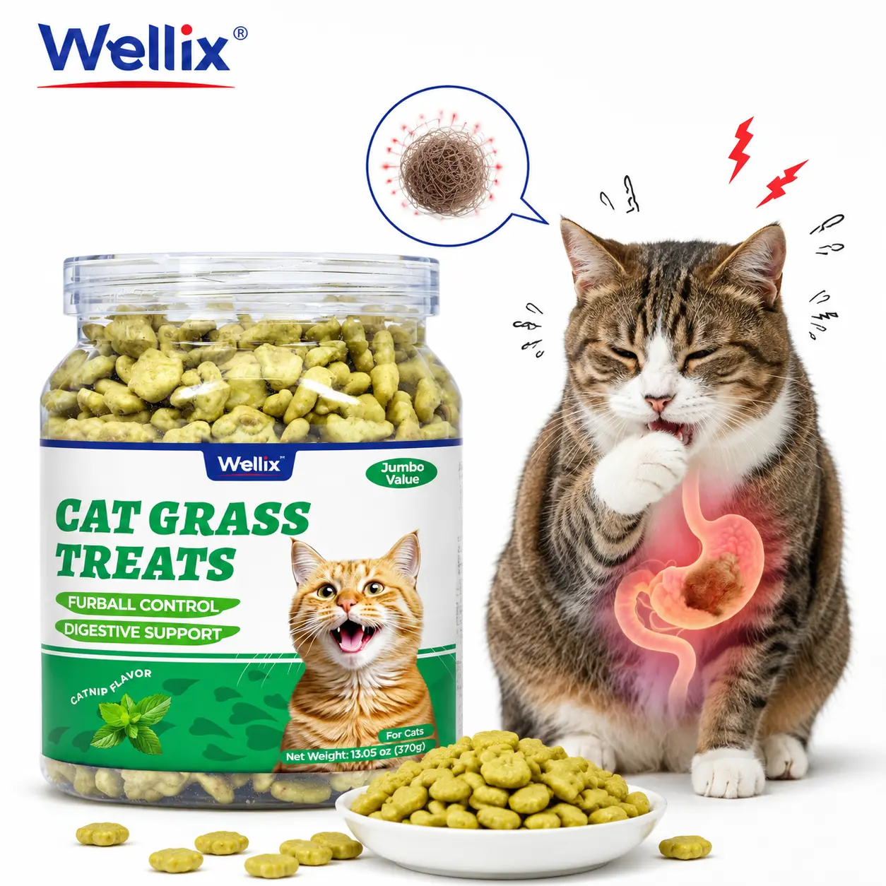 Wellix Cat Grass Treats with Catnip & Salmon - Healthy Cat Treats for Indoor Cats - Hairball Control & Digestive Support - Kittens Training Snacks for Teeth Cleaning 13.05oz
