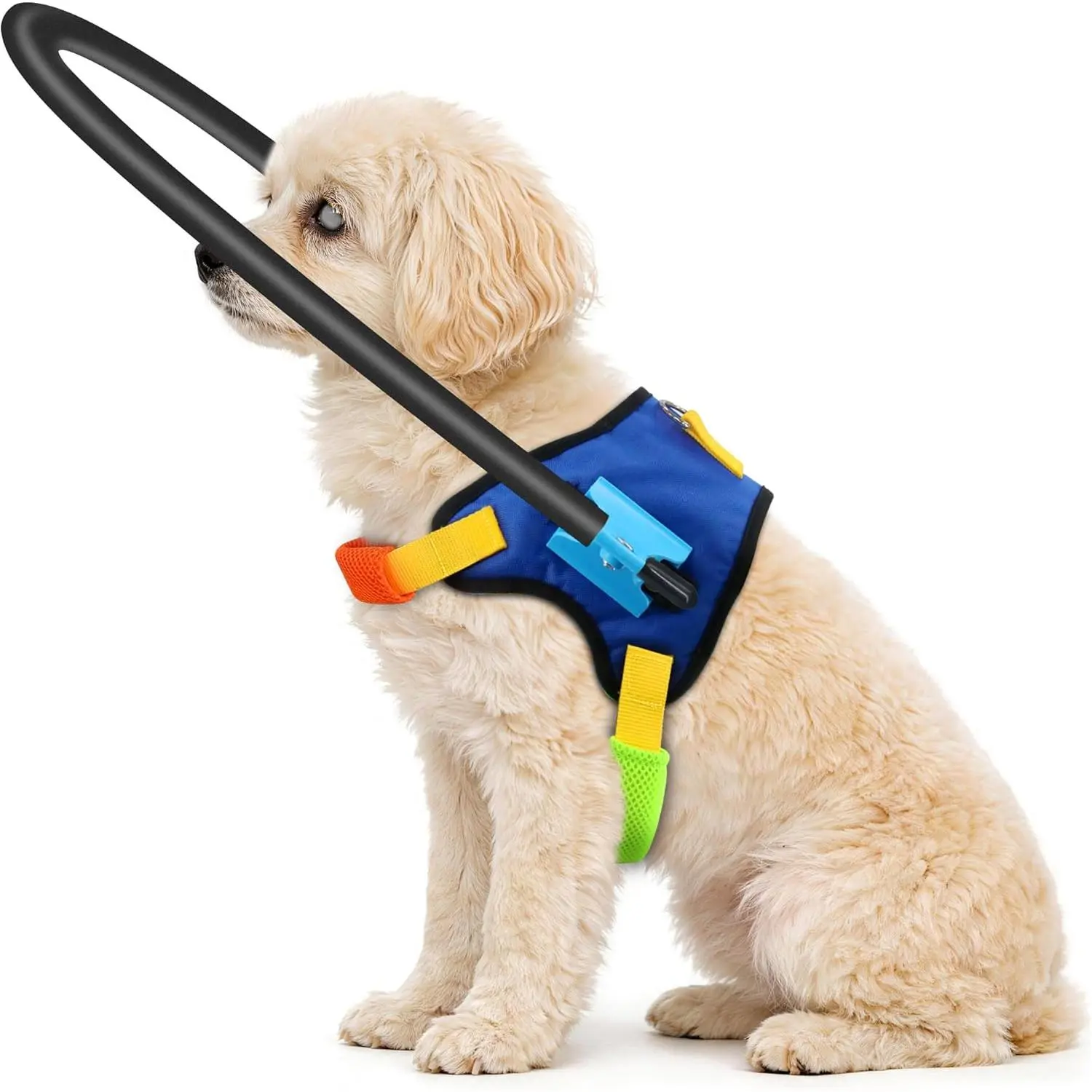Blind Dog Halo Harness, Adjustable Protective Halo Collar for Blind Dogs,Navigation Assistance for Visually Impaired Pets (M for 15.5-19.5in)