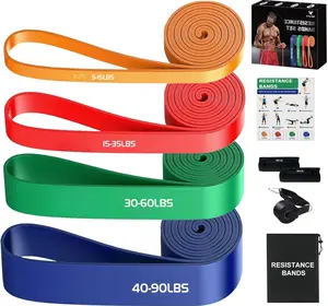 Resistance Bands Set for Men & Women - 4 Levels Exercise Band with Door Anchor, Pull Up Bands for Strength , Stretching, Powerlifting,  Workouts