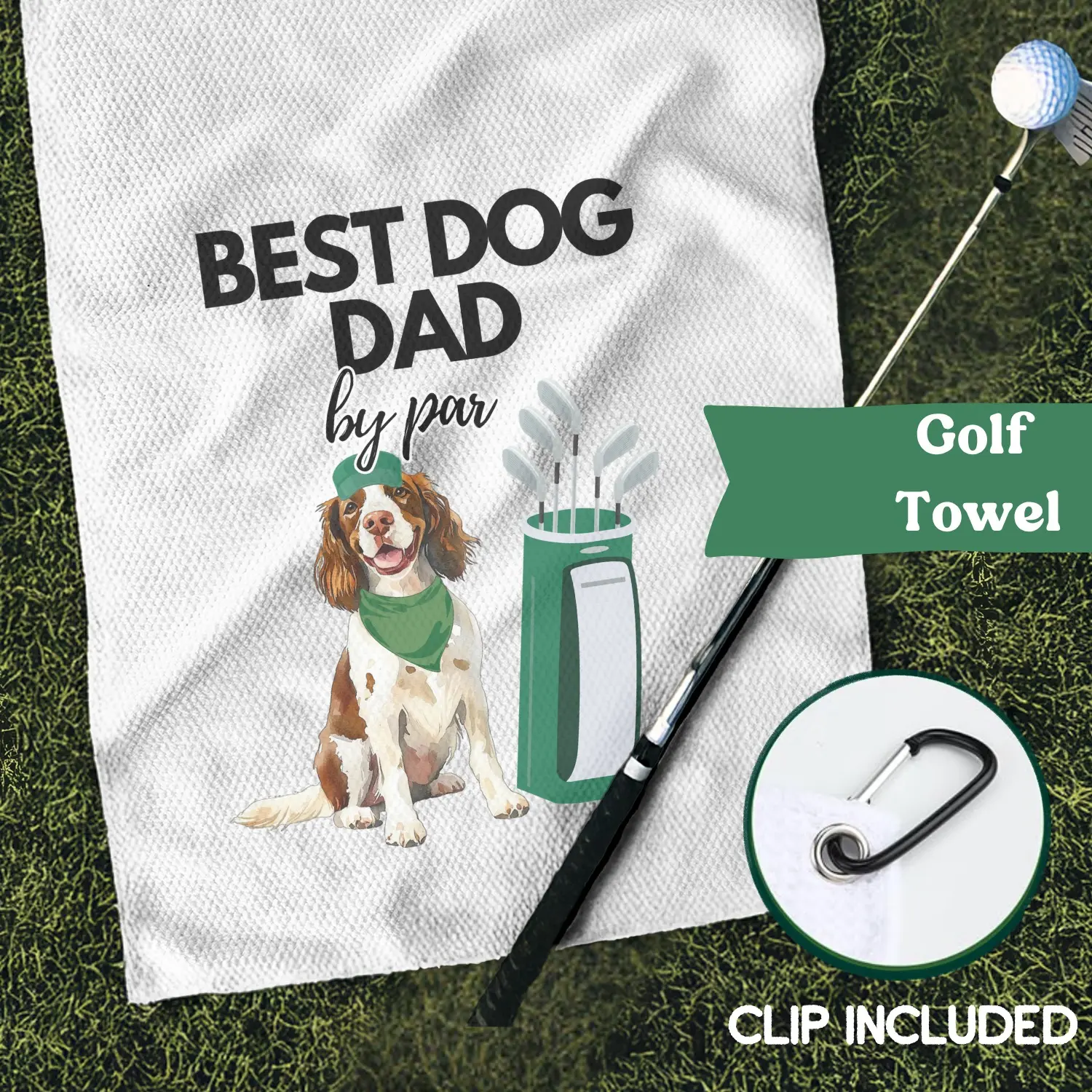 English Springer Spaniel