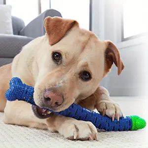 Dog Chew Toy, 3 Counts/set Durable Chew Indestructible & Bite-resistant Dog Toothbrush Cleaner Stick, Pet Chew Toy, Dog Teething Toy, Dog Toys