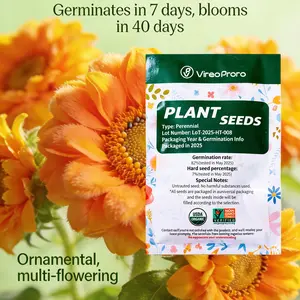 Teddy Bear Sunflower Seeds Easy to Grow for Beginners Perfect for Home Garden Backyard Planting High Germination