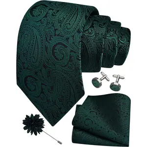 3.15"(8cm) Mens Tie and Lapel Pin Paisley Necktie Hankerchief Cufflinks Set for Men