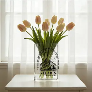 1pc Acrylic Flower Vase, Transparent Velaris City of Starlight Themed Book-Shaped Acrylic Vase for Home Decor, Perfect Home Decoration for Spring and Summer，Unique Modern Cute Aesthetic Cool Book-Style Vase For Bookshelf，Perfect Decor for Bedroom, Office